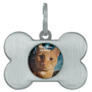 Médaillons Pour Animaux Domestiques Trois Photos de Chats, Noël Personnalisé