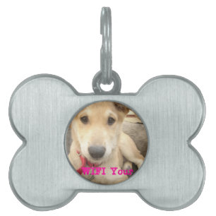 Médaillons Pour Animaux Domestiques Tu Devrais WIFI Ton Amour Tous Les Jours