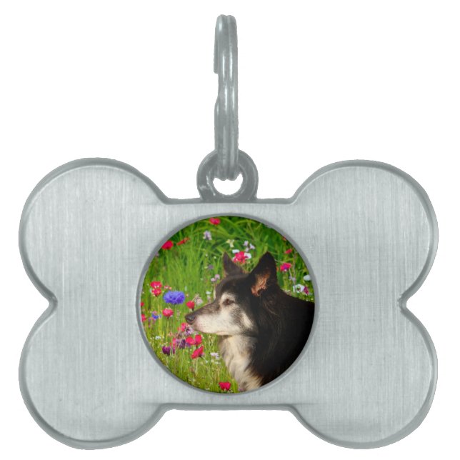 Médaillons Pour Animaux Domestiques Valentine Frontière Collie avec de belles fleurs (Devant)