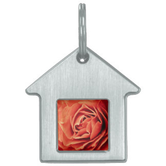 Médaillons Pour Animaux Domestiques vivant rose