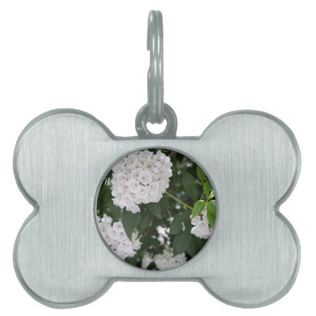 Médaillons Pour Animaux Domestiques White Mountain Laurel Star Fleurs en forme Nom de  (Devant)