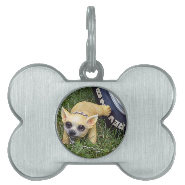 Médaillons Pour Animaux Domestiques Whiz Kid (Devant)
