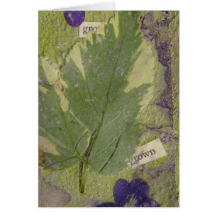 Médias mixtes développés