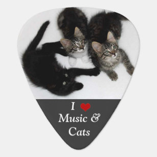 Accessoires Chat Noir De Musique Zazzle Fr