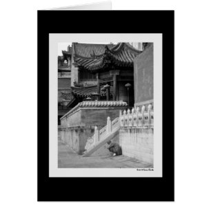 Méditer la carte moine