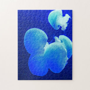 Méduse. Puzzle