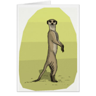 MEERKAT