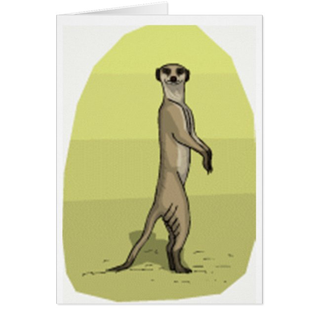 MEERKAT (Devant)