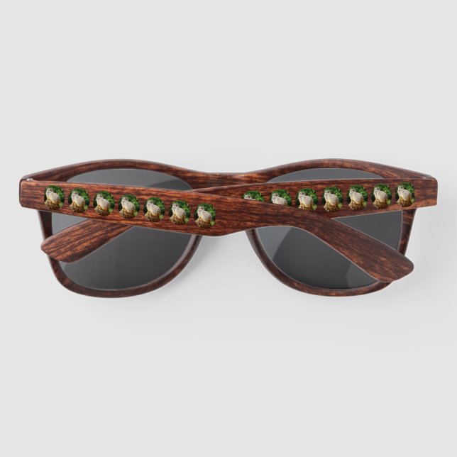 Meerkat Avec Vue Haute, Lunettes De Soleil (Dos)
