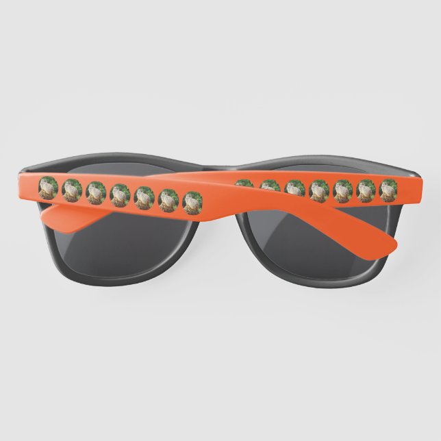 Meerkat Avec Vue Haute, Lunettes De Soleil (Dos)