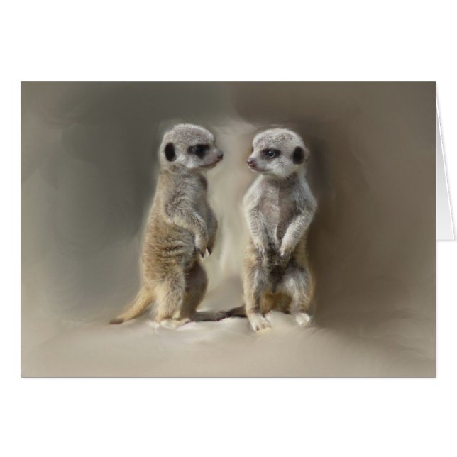 Meerkat bébé jumeaux (Devant horizontal)