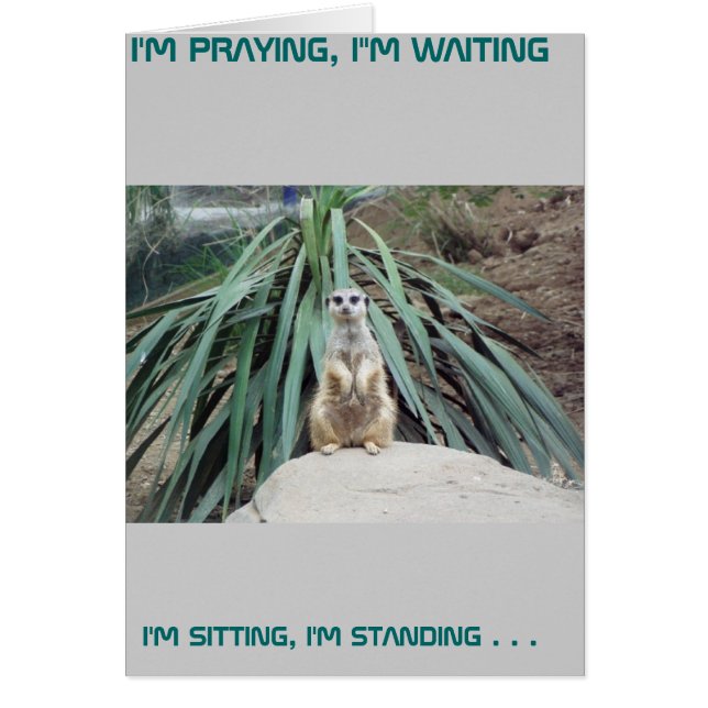 Meerkat humoristique - Cercle Un (Devant)