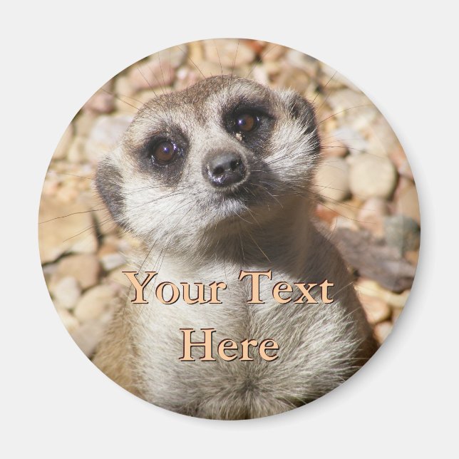 Meerkat Magnet (Devant)