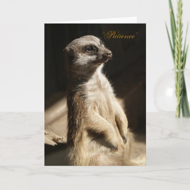 Meerkat mignon la "patience" toute carte de voeux (Devant)