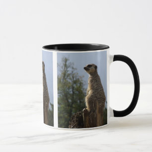 Meerkat Mug