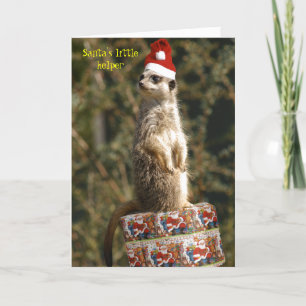 Meerkat, petite carte de l'aide de Père Noël