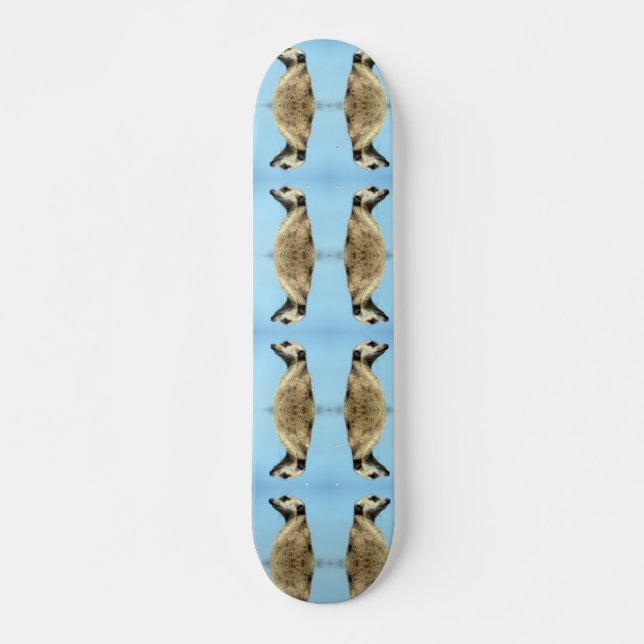 Meerkat Skateboard (Devant)
