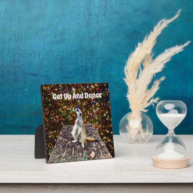 Meerkat Twinkle Stars, Plaque Photo (Insitu)