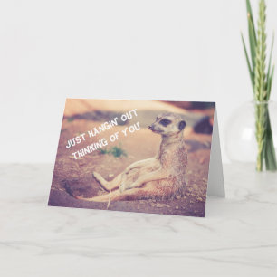 Meerkat vous manquant carte de voeux