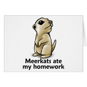 Meerkats a mangé mon travail