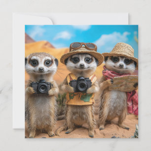 Meerkats habillés en touristes avec des caméras et