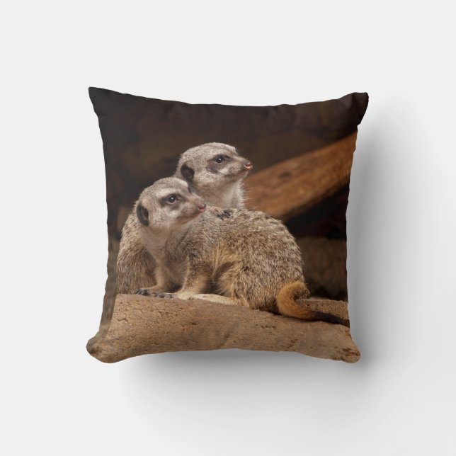 Meerkats réversible sur un Coussin (Recto)