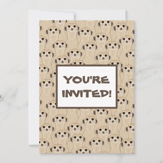 Meerkats - Suricata (Devant)