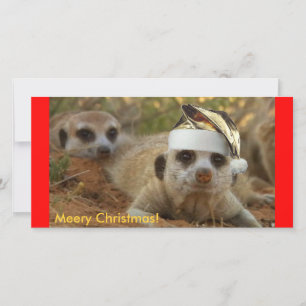 Meery Christmas Zaphod - Carte photo