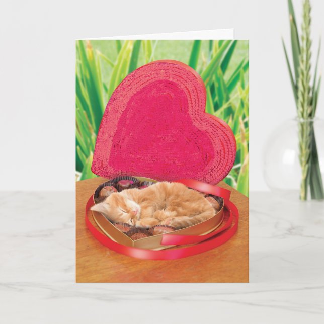 Meilleur adorable mignon drôle de carte de chat de (Devant)