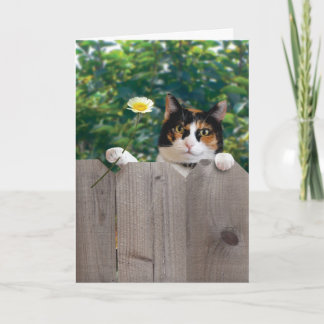 Meilleur adorable mignon drôle de carte de chat de