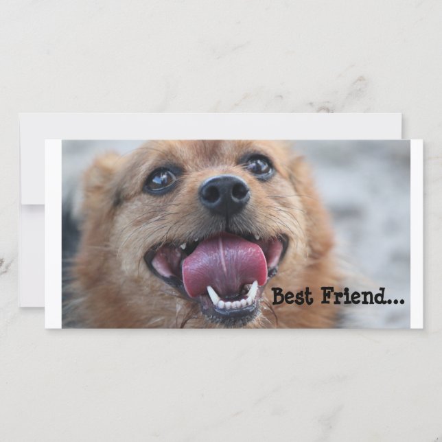 Meilleur ami (Devant)