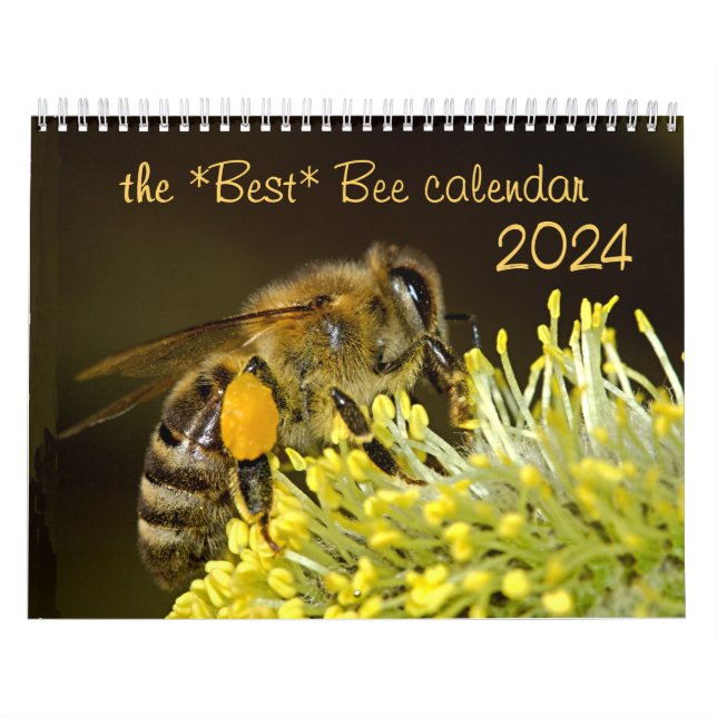 Meilleur calendrier des abeilles 2024 avec photos  (Protection)