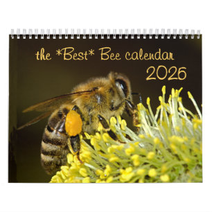 Meilleur calendrier des abeilles 2025 avec photos
