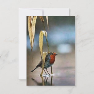 Meilleur Carte de remerciements plat de 3,5 po x 5