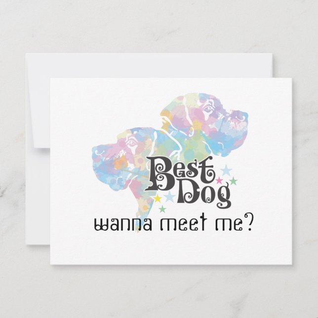 Meilleur chien "coloré" (Devant)