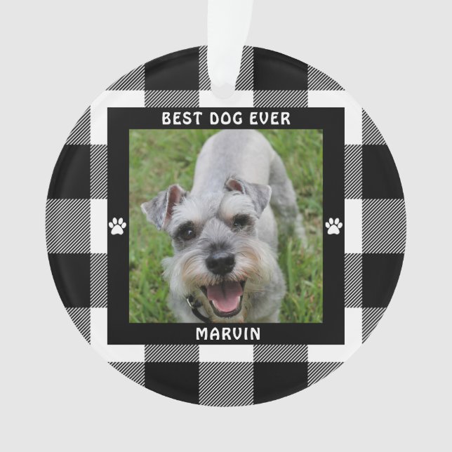 MEILLEUR CHIEN JAMAIS Photo Vérification de Buffal (devant)