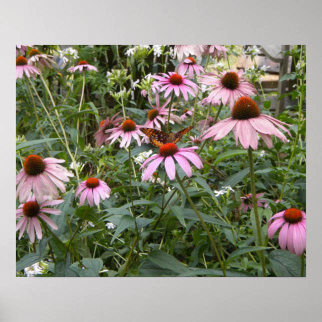 Meilleur de la nature, papillon et affiche de pâqu (Devant)