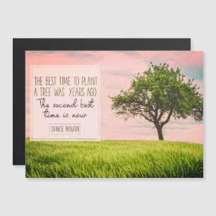 Meilleur Moment Pour Plante D'Un Arborescence