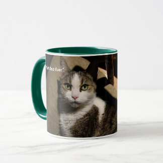"Meilleur papa chat du monde -- Mug de la fête des