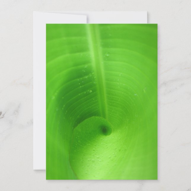 Meilleure carte 5 pouces x 7 pouces (Devant)