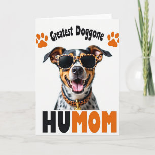 Meilleure carte pour animaux de compagnie Humom to