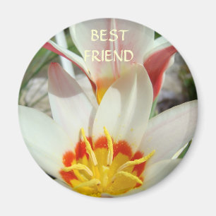 MEILLEURES AMIES AIMANT Fleurs de Tulipe Cadeaux d