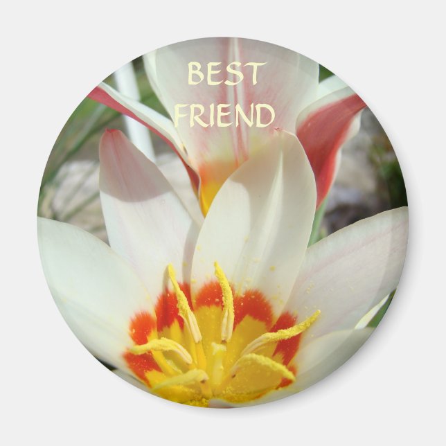 MEILLEURES AMIES AIMANT Fleurs de Tulipe Cadeaux d (Devant)