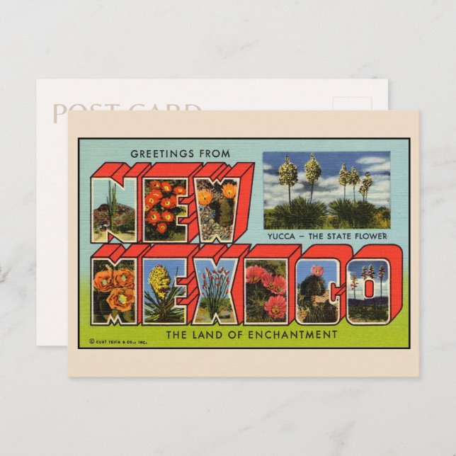 Meilleures salutations de la carte postale du Nouv (Devant / Derrière)