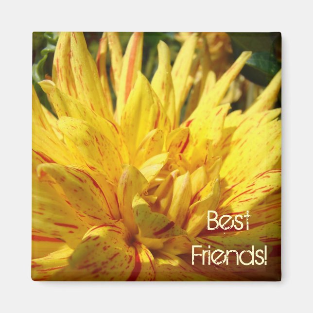 Meilleurs amis ! aimant Fleur dahlia rouge jaune (Devant)