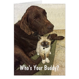 Meilleurs amis Labrador et photo de chaton personn