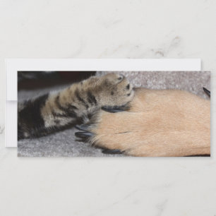 Meilleurs amis pour toujours par Shirley Taylor