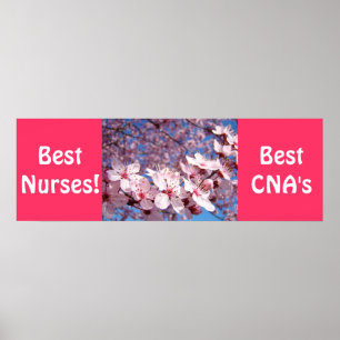 Meilleurs infirmières affiches Meilleurs CNA impre