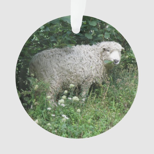 Mélange Blanc Fluffy Sheep Manger Acrylique Orneme (devant)