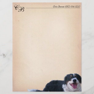 Mélange Collie Bordure